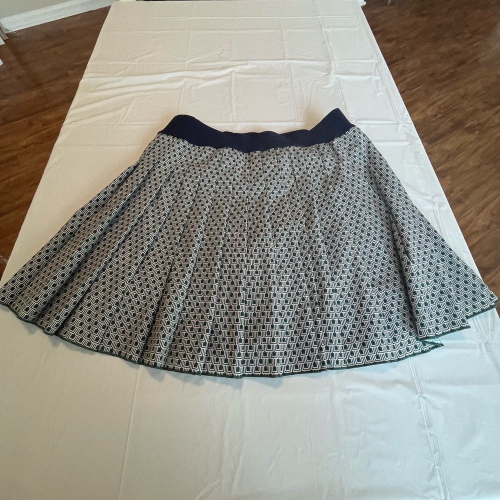 Pleated Geometric Skater Skirt in Navy and White